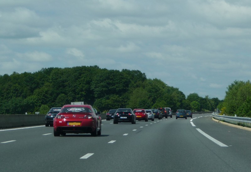 P1010175-800.jpg