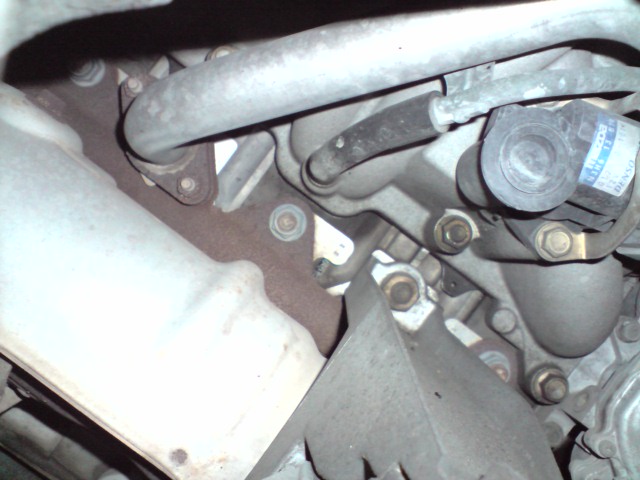 P070909_16.04[02].JPG