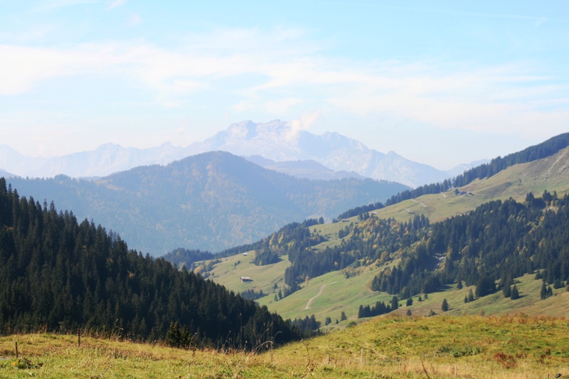 IMG_8235.JPG