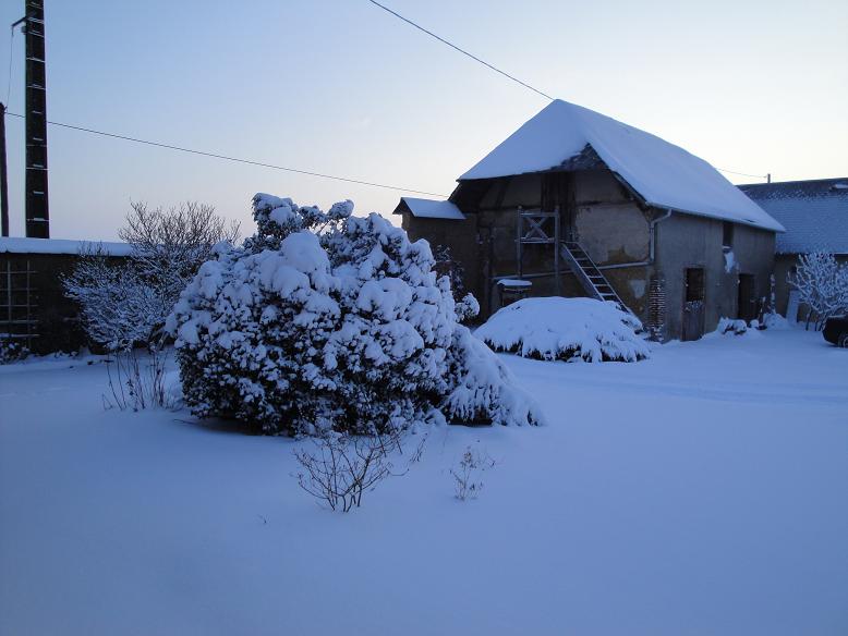 DSC00415.jpg