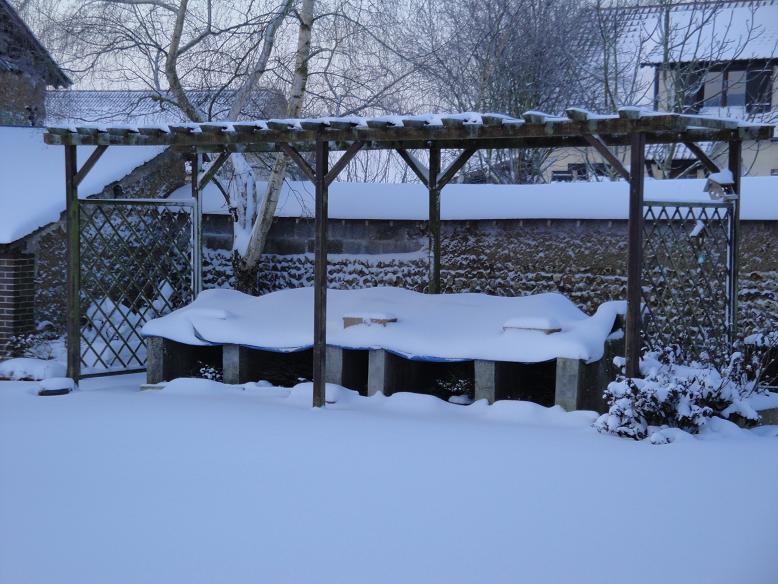DSC00414.jpg