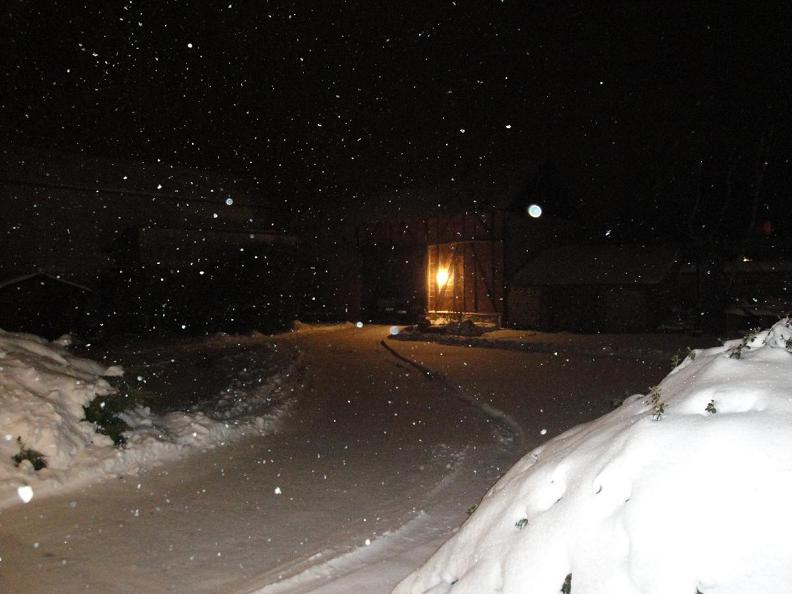 dsc00493_351[1].jpg
