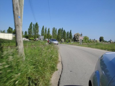 DSC01281.jpg