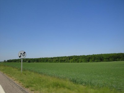 DSC01305.jpg