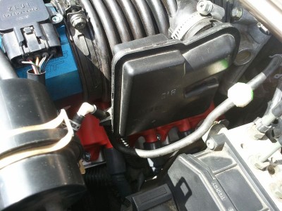 2010-09-26 11.44.23.jpg