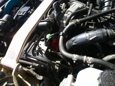2010-09-26 11.45.55.jpg