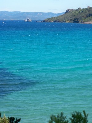 100_2663.JPG