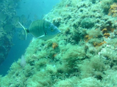 PICT0055.JPG