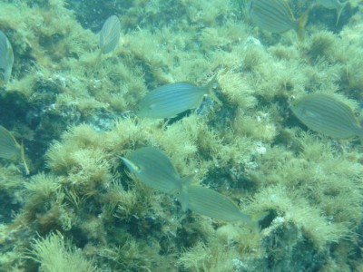 PICT0081.JPG