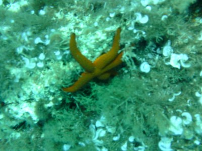 PICT0095.JPG