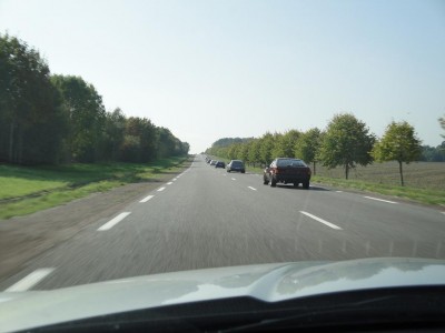 DSC02134.jpg