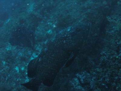 PICT0017.JPG