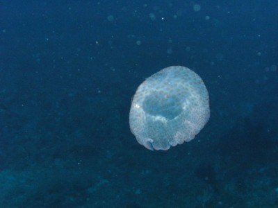 PICT0024.JPG