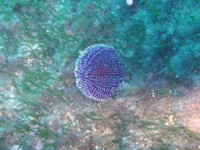 PICT0057.JPG