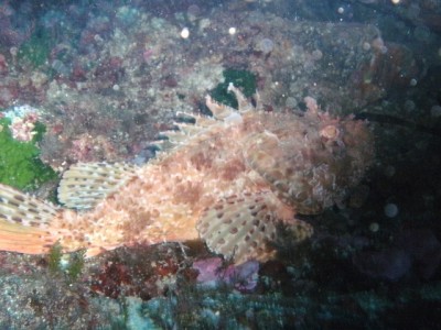 PICT0091.JPG