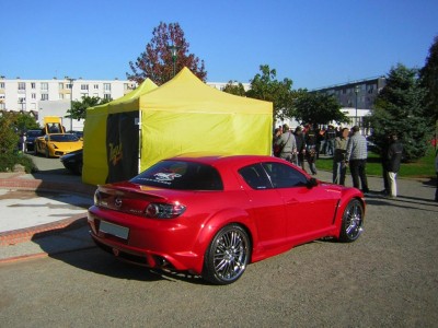 Copie de Expo Coulaine 2010 1.JPG