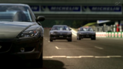Deep Forest Raceway_1.jpg