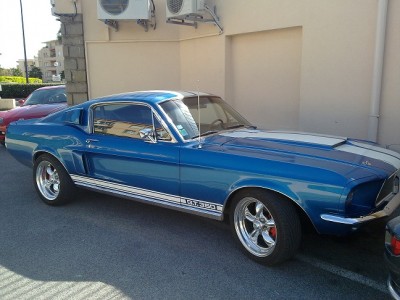 mustang 67.jpg