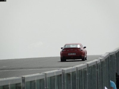 DSC07150-1.JPG