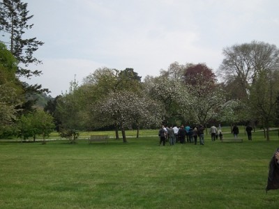 DSCF0666.JPG