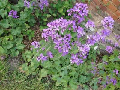 DSC03247.JPG
