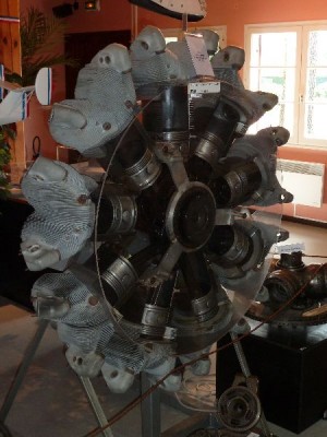 P1000515.JPG