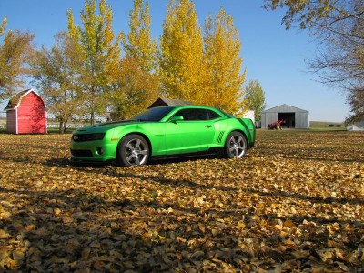 newcar4 [800x600].jpg