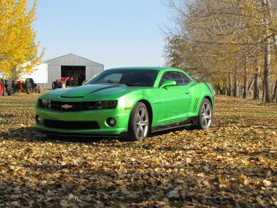 newcar5 [800x600].jpg