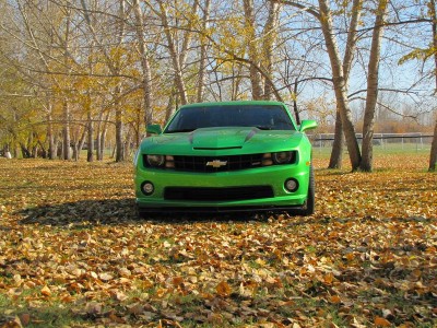 newcar6 [800x600].jpg