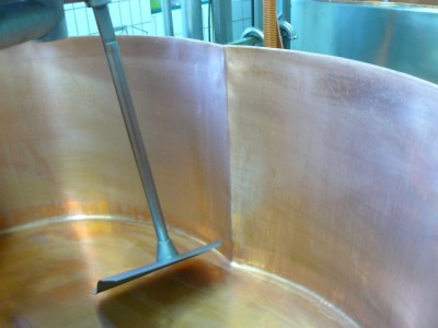 P1050139.jpg
