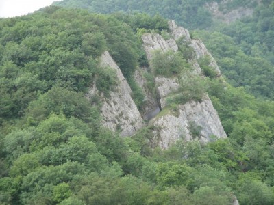 DSC03394.JPG