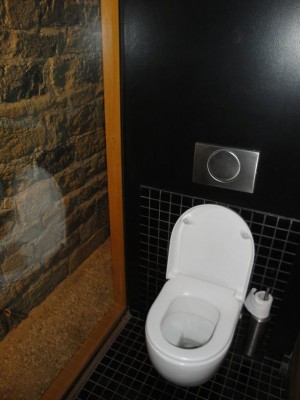 Des toilettes un peut particulières, on ce demande si quelqu'un va passer derrière la vitre ou pas