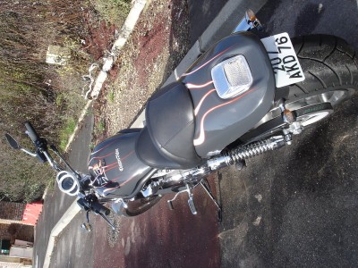 dsc07415m.jpg