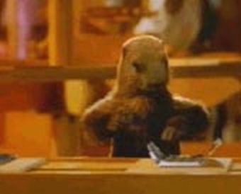 marmotte.jpg