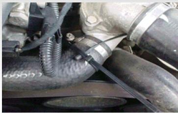 sonde flexy.JPG