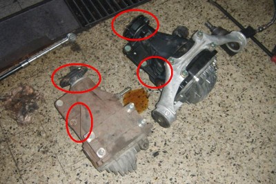 GEDC1187 8x6.JPG