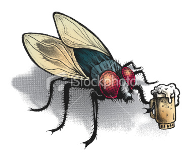 beer fly.jpg