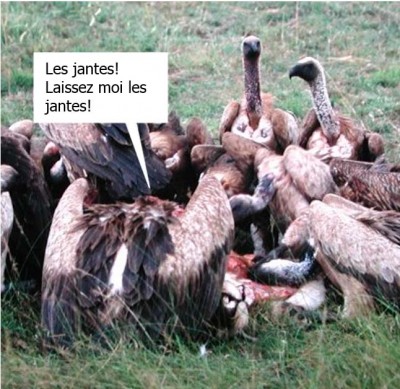 miam.jpg