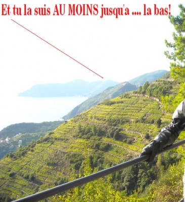 ITALI.jpg