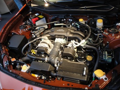 DSC05500.JPG