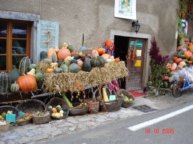 DSC02091_1.JPG
