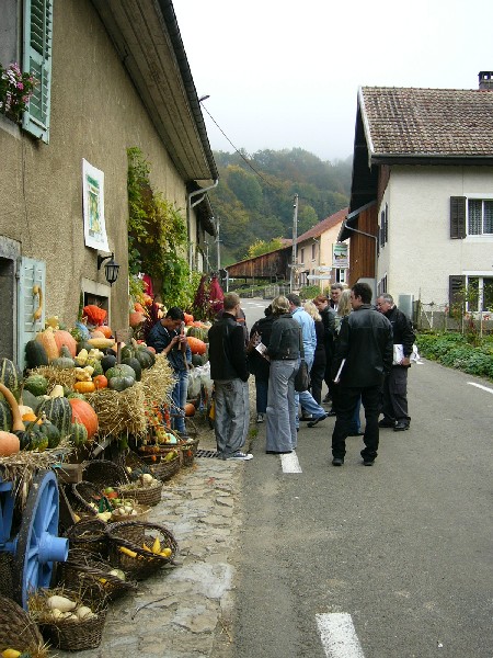 Marché aux potirons !!!.JPG