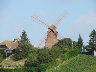 IMG_1006.jpg