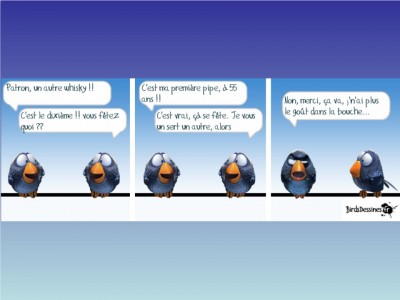 Les Birds express2.jpg