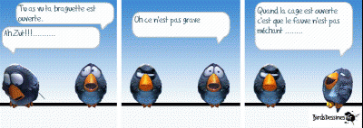 ATT00033.gif