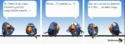 ATT00054.gif