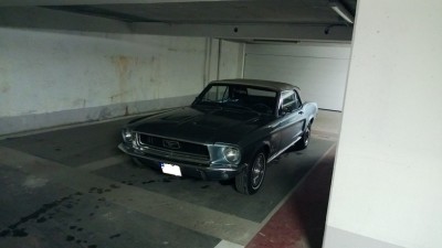 WP_20130228_003.jpg