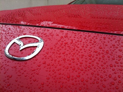 592432IMG3041.jpg