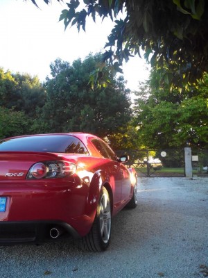 rx8.jpg