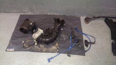 IMAG0205.jpg